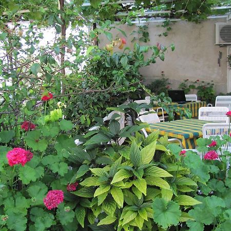 Guesthouse Marija Cavtat Værelse billede